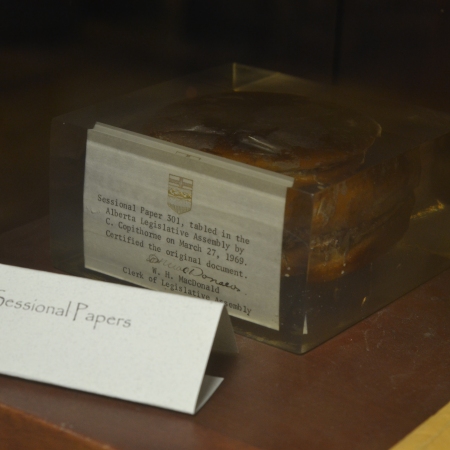 A hamburger in a cube of lucite, labelled "Sessional Papers"