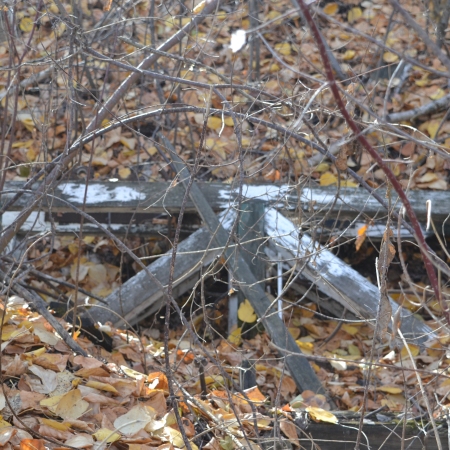 Diagonal and parallel wooden beams sit on the riverbank behind leaves and branches. There is some white paint on the beams.