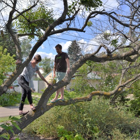 Brooklin and Dustin stand on the branch of a tree splaying sideways to the right